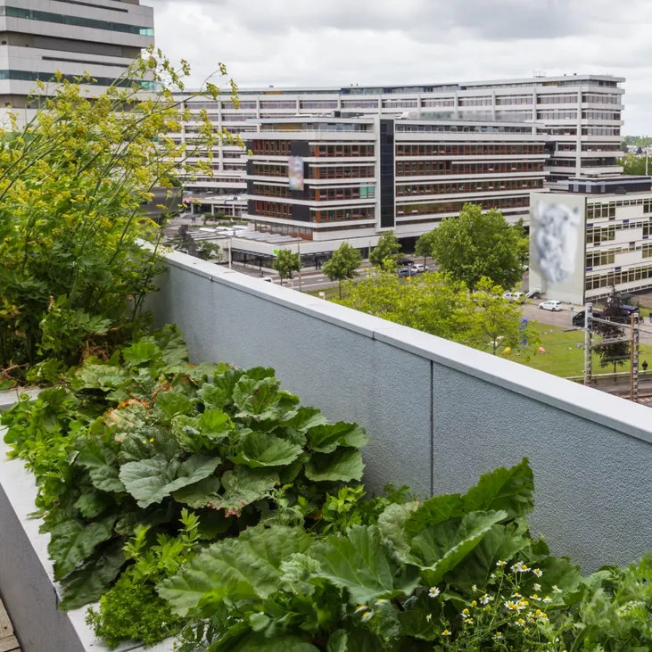 toit vegetal marseille